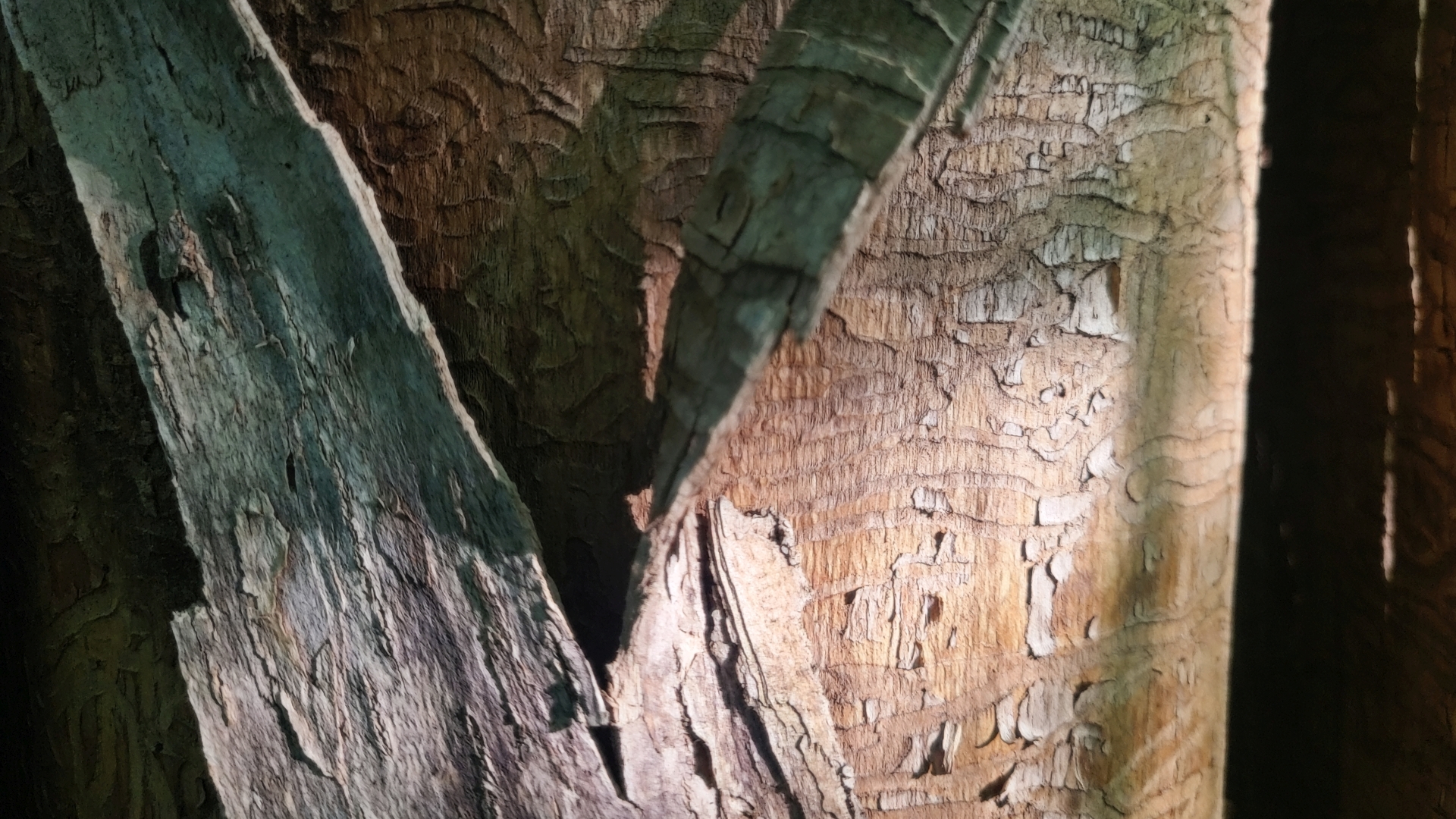 Editionitiation 0.0.1