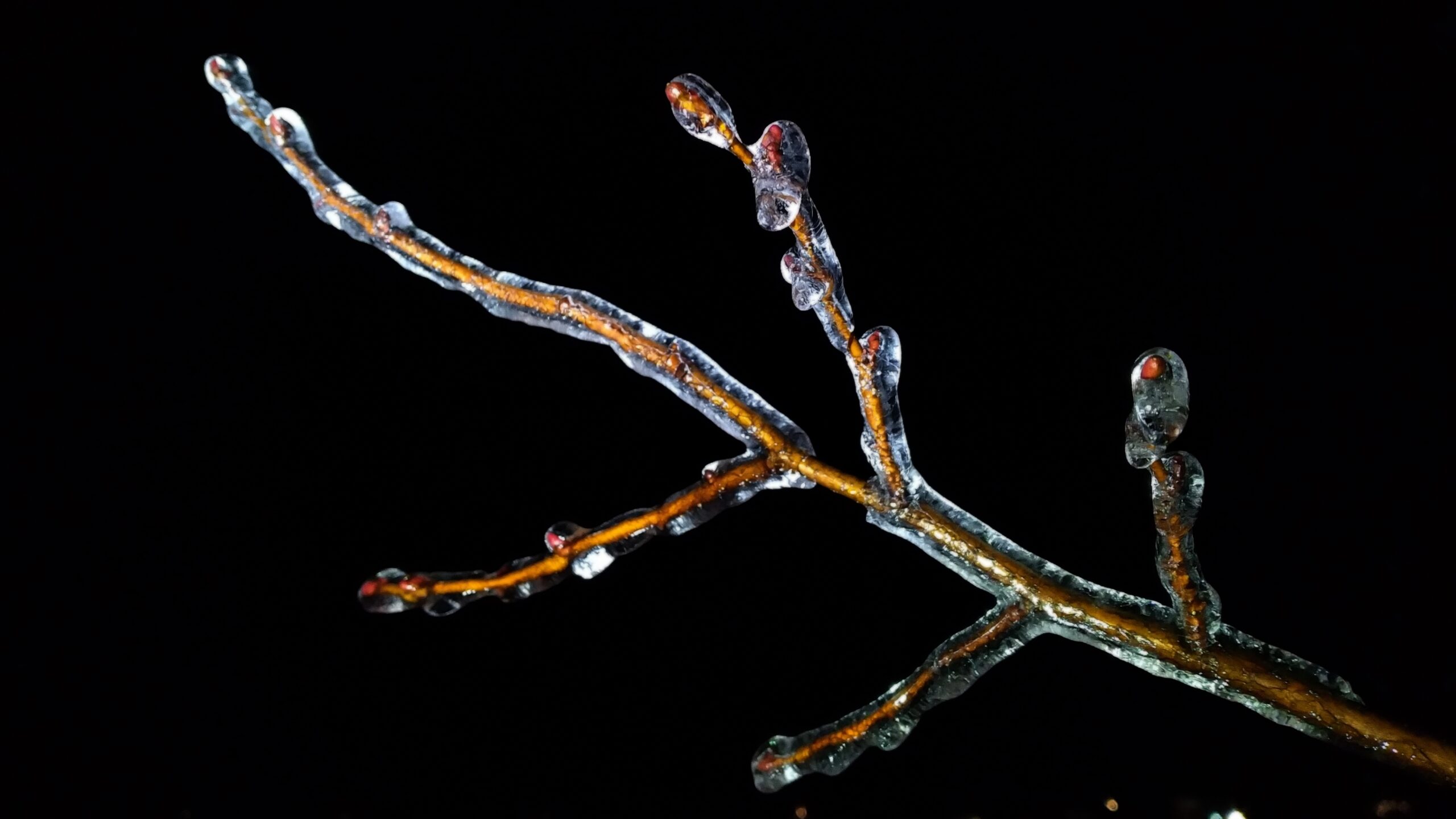 Other Available Light