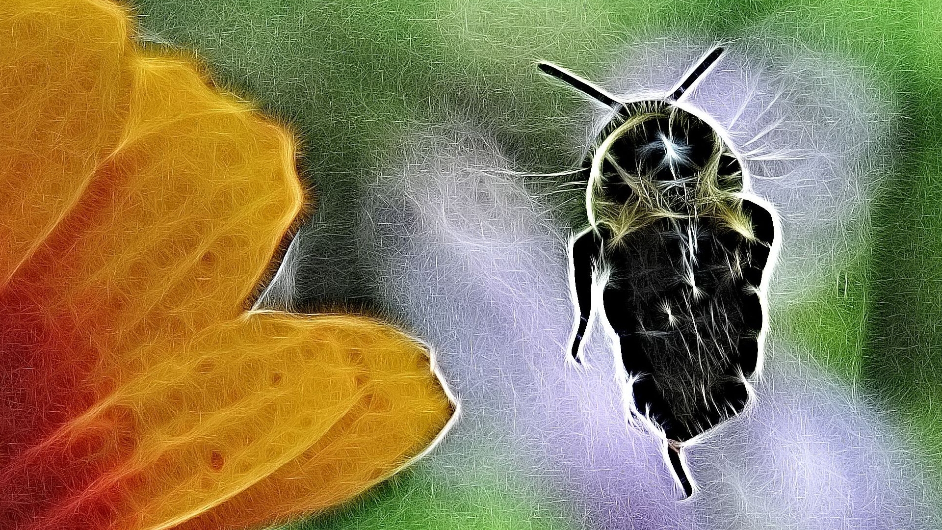 What Mandelbrot Said