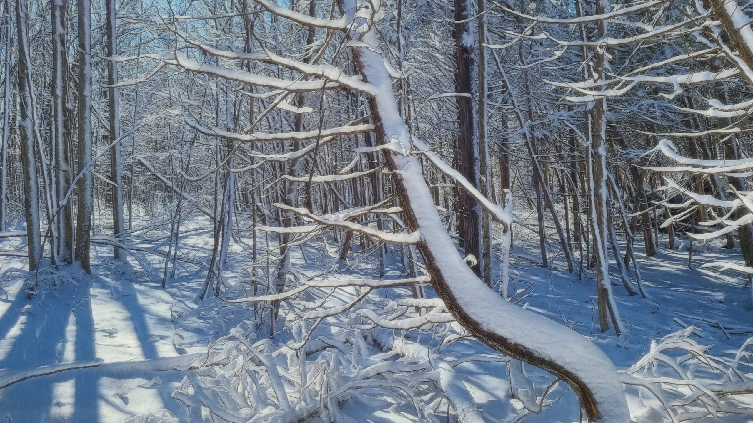 PSA: Resourcing For Health Before Viruses Come Around