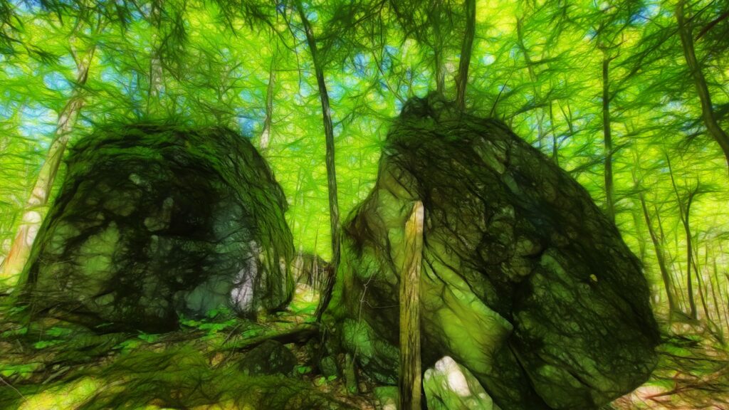 Two large boulders, mostly backlit, in late-summer sunny-green woods
